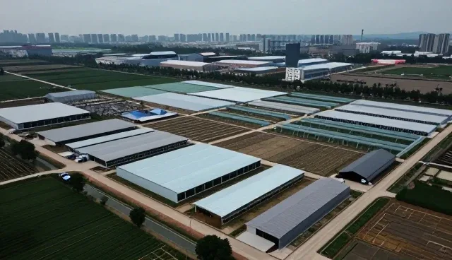 技术外包服务如何满足不同区域性能需求